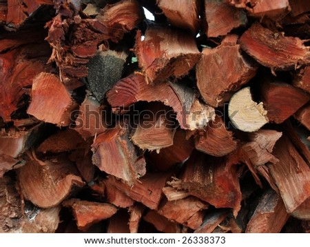 Stack of firewood cut from litchi trees.