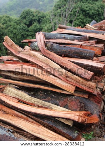 Stack of  red firewood cut from litchi trees.
