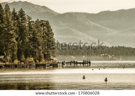 Trees in a forest at the lakeside, Carnelian Bay, Lake Tahoe, California, USA