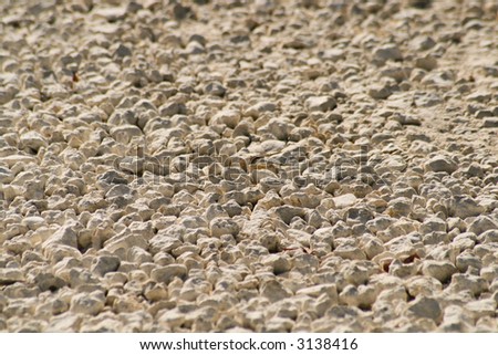 Detail of a rocky ground