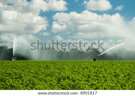 Landscape showing trucks throwing water over a huge plantation