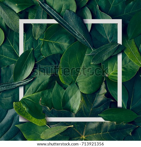 Nature Minimal Concept - Green Leaves Background with White Paper Frame. Flat Lay