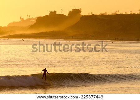 Golden Wave Surfer