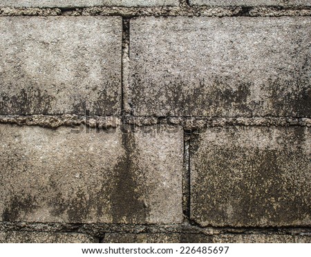 The surface profile of the old brick walls.