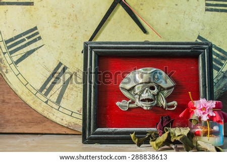 Picture frames skull and roses on a red background.