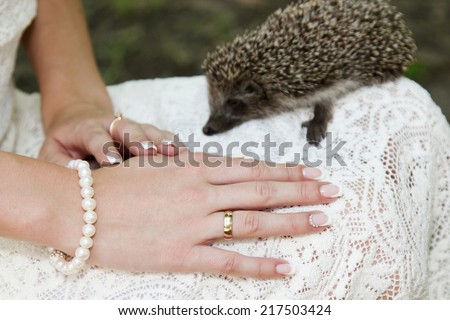 Hands of a bride with a wedding ring lying on a dress with a little hedgehog in the background