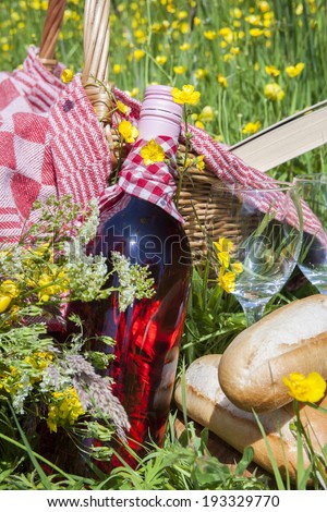 Picnic  in the grass with tasty food and wine