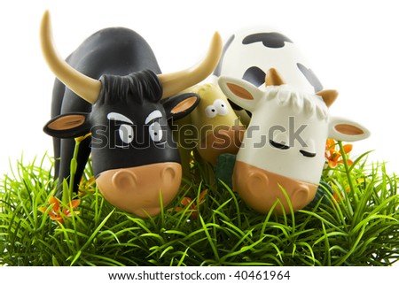 A cow bull and calf eating grass on a white background