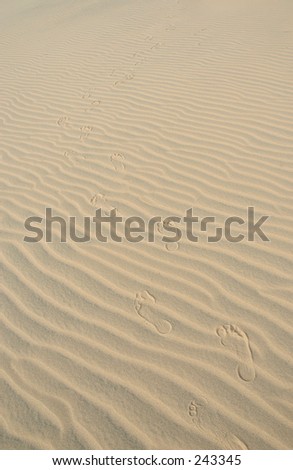 Sand dune with foot prints. Desert Texture 1.