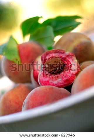 Indian Blood peaches also known as White Peach in a bowl outdoors.