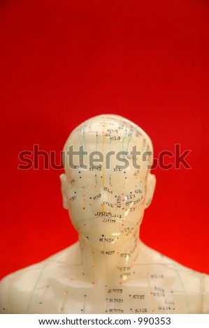 Acupuncture model head with red background.