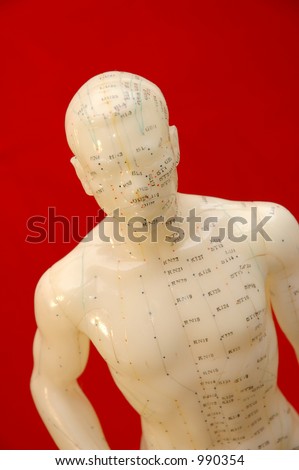 Acupuncture model on a red background.