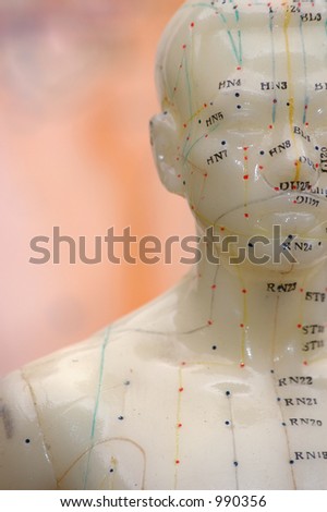 Cropped close up of an acupuncture model head.