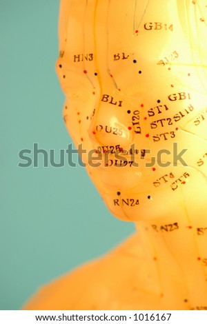 Cropped close up of an acupuncture model head.