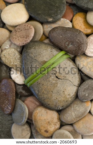 Healing Stone. Broken river stone wrapped with a long blade of grass.