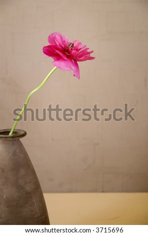 Extreme simple composition of a pink flower in a natural earth toned setting.