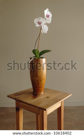 Calming interior with orchids in a vase.