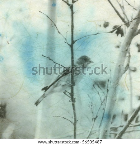 Photograph printed on blue stained Japanese Kinwashi manila hemp paper.