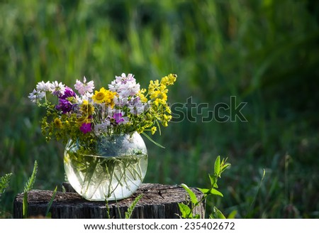 Bouquet of wild flowers in a round vase on a stump in the field.
