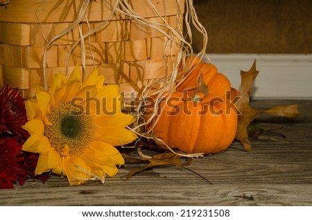 Autumn Deco A close up of a sunflower and a mini pumpkin.