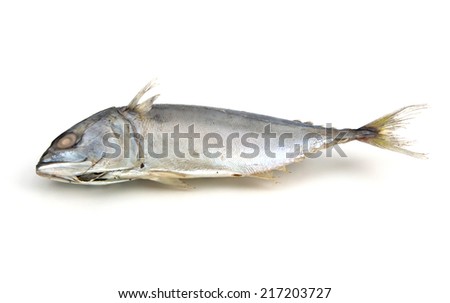 steamed boiled mackerel ready for cook one of the most favorite healthy food in South East Asia style. This was isolated on white background