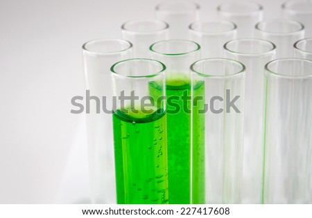 many test tubes in a test in a research laboratory of a university. symbolic photo for learning and researching.