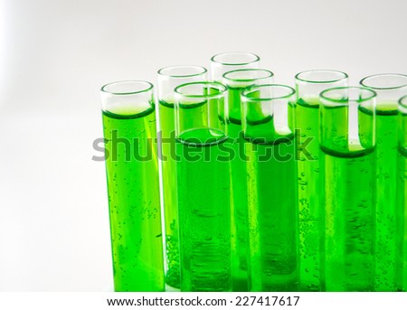 many test tubes in a test in a research laboratory of a university. symbolic photo for learning and researching.