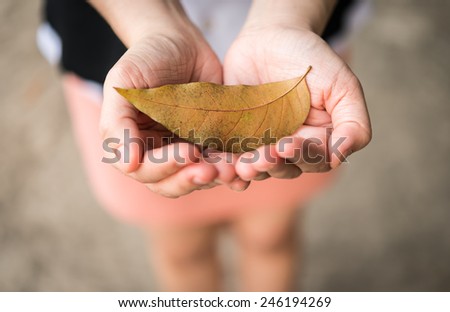 Close up autumn leaves in girl hands