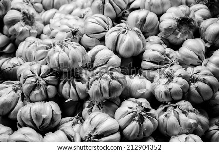 Black and white Garlic