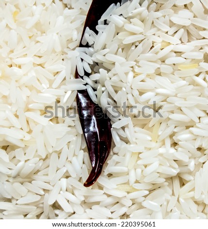 The dry chilli in some row thai rice grain in normal thai house