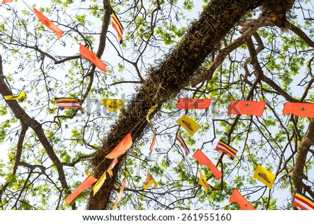 Multiple color flags on branches of huge tree
