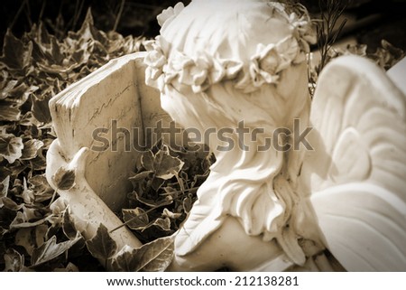 A decorative stone garden sculpture in the form of an angel or fairy reading a book while lying in a bed of ivy.  Sepia retro tint.