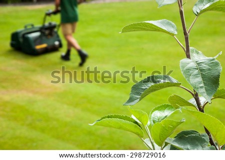 Gardner moving lawn. Focus on the foreground foliage with a gardner mowing a lawn in the background; with copy space..