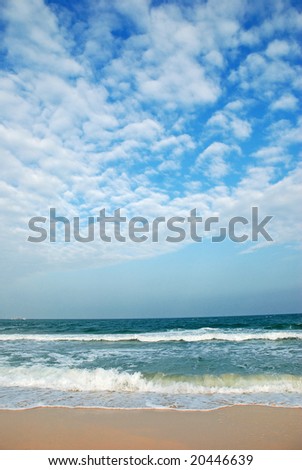 beach vertical