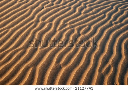 Sand Pattern in Sunrise, Desert of Rajastan, India