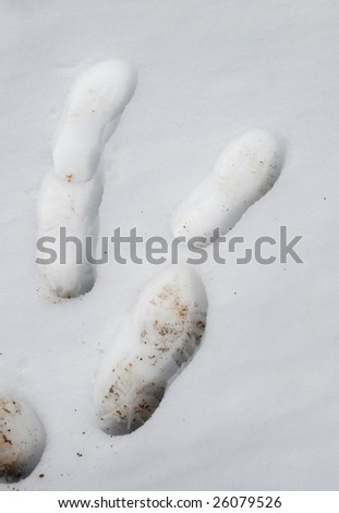 Footprints in the snow-covered ground
