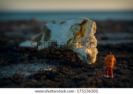 Woman hiking in sunset, focus on great skull in background, miniature figure
