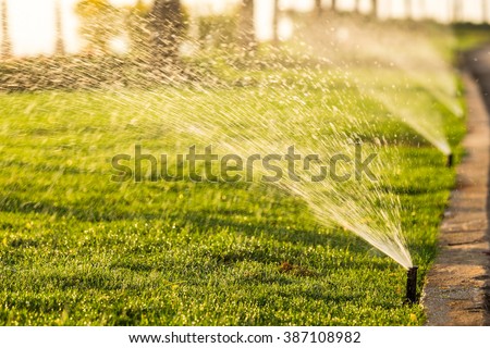sprinkler head watering the bush and grass in the garden