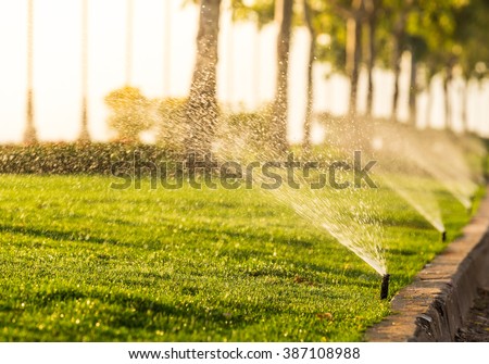 sprinkler head watering the bush and grass in the garden