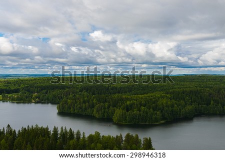 Cloudy day forest landscape seen from above