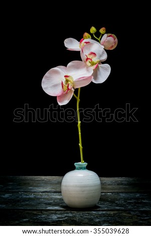 still life vase with flowers Black background