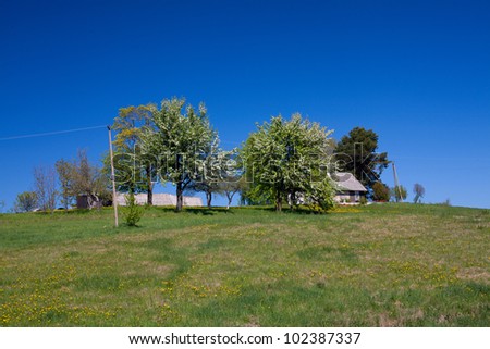 blooming trees and house on hill
