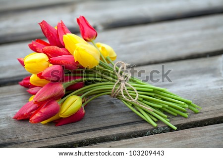 tied yellow and red tulips