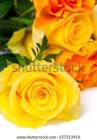 yellow and orange roses isolated on white background