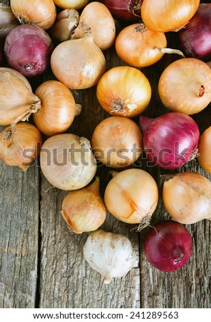 red and yellow onion on wooden surface