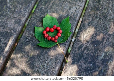 heart made from wild strawberries on a maple leaf on a bench