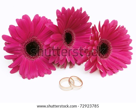 stock photo purple gerbera and two wedding rings