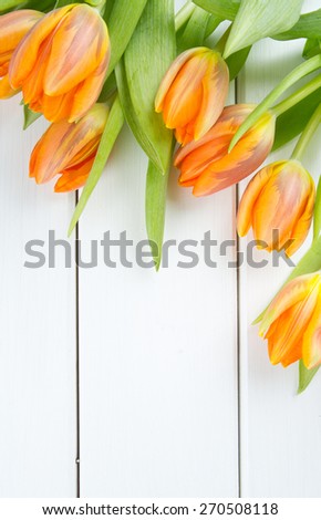 orange tulips on white wooden surface