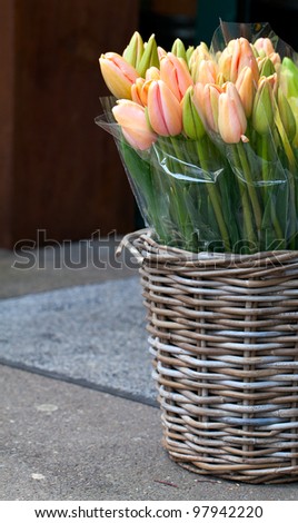 tulip in basket in flower shop