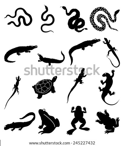 Reptile icons set